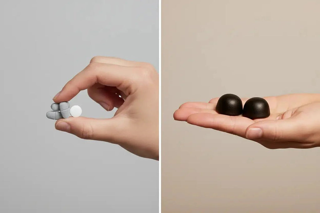 Multivitamines vs Mushroom Complex : quel choisire en 2026 ?